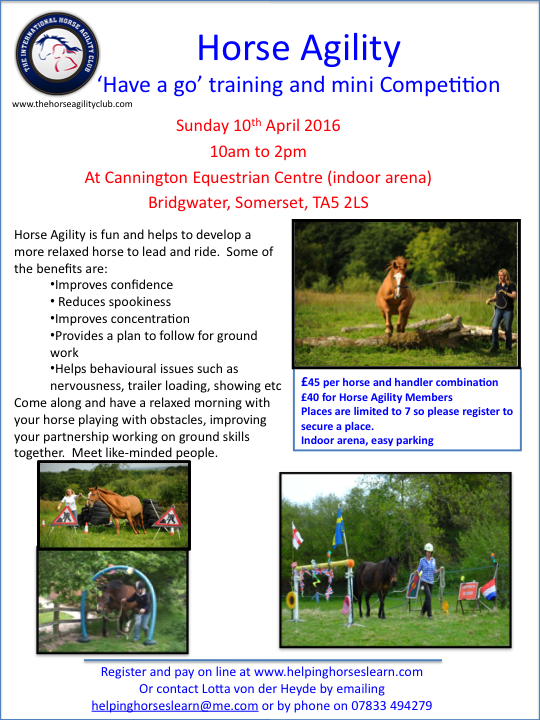 horse-agility-event